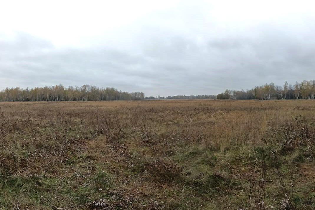 Фото Глава Ленинского района Новосибирска Гриб погиб от шальной пули: подробности трагической охоты 2 - Сиб.ФМ Фото Глава Ленинского района Новосибирска Гриб погиб от шальной пули: подробности трагической охоты 2